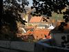 Biserica Neagra din Brasov